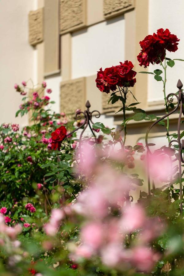 Fantasia Budget Boutique Hotel Füssen